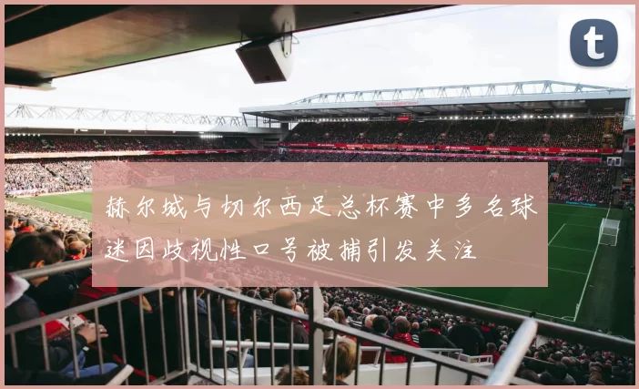 赫尔城与切尔西足总杯赛中多名球迷因歧视性口号被捕引发关注